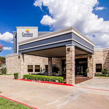 Comfort Inn & Suites Plano East Exterior photo